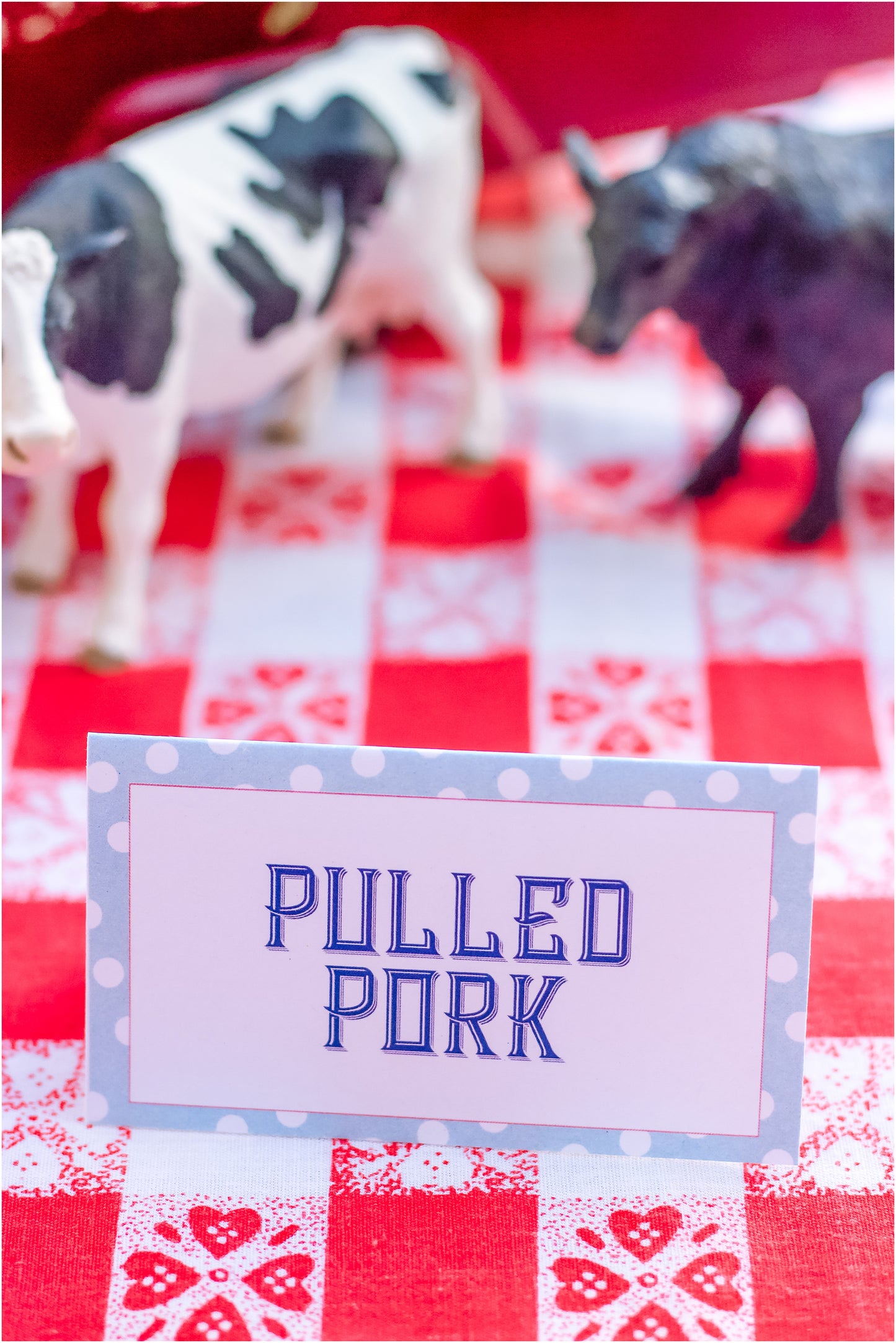 Iowa State Fair Baby Shower Bundle - Digital Download