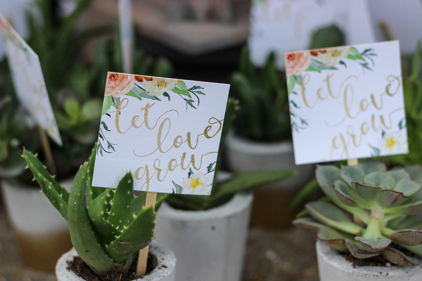 Let Love Grow Favor Tag Sticks - Printed