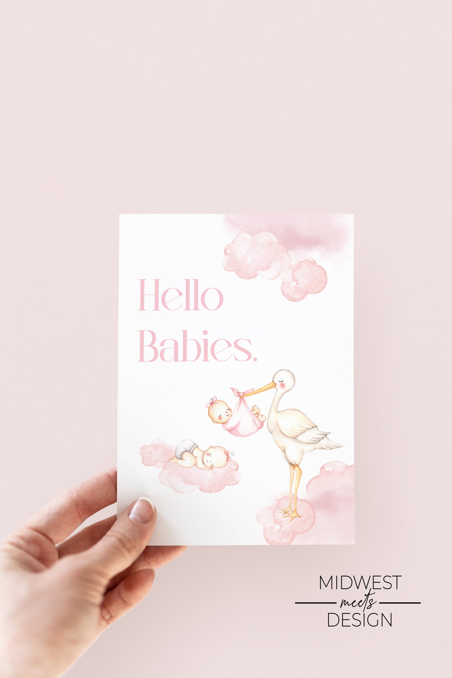 Twin Girl Stork Baby Shower Invite - Digital Download