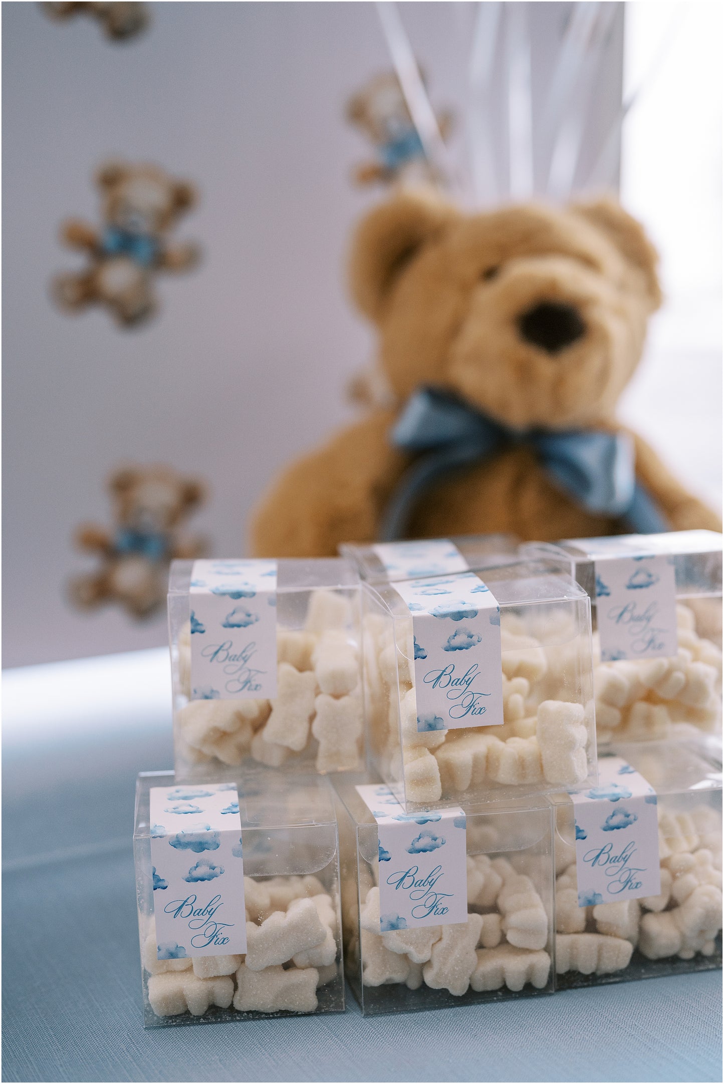 Bearly Wait Teddy Bear Shower - Party Box