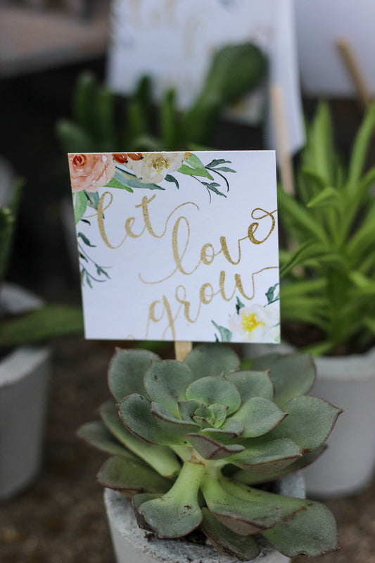 Let Love Grow Favor Tag Sticks - Printed